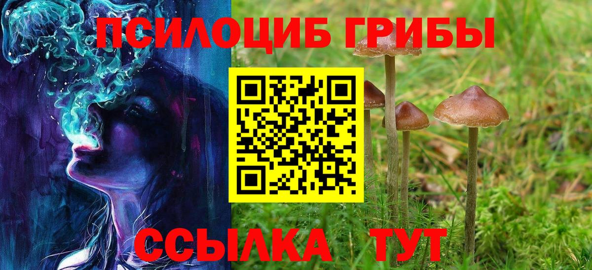 Галлюциногенные грибы Cubensis Фролово