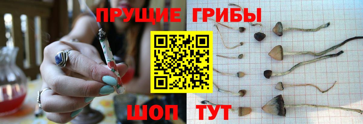 Галлюциногенные грибы GOLDEN TEACHER  Псилоцибиновые грибы мухоморы  Вход с VPN  Фролово 